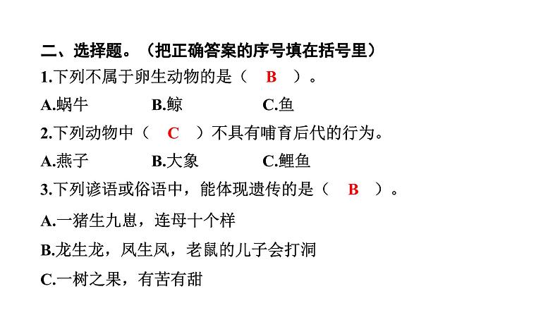 2024教科版科学六年级下册第二单元生物的多样性4 多种多样的动物 作业课件ppt第4页