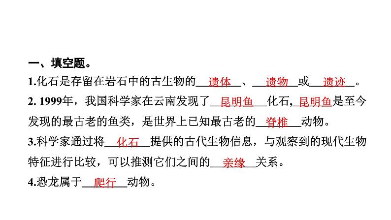 2024教科版科学六年级下册第二单元生物的多样性6 古代生物的多样性 作业课件ppt第4页