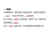 2024教科版科学六年级下册第三单元宇宙5 夏季星空 作业课件ppt