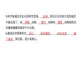 2024教科版科学六年级下册期中测试卷 作业课件ppt