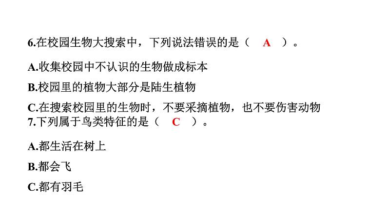 2024教科版科学六年级下册期中测试卷 作业课件ppt第8页