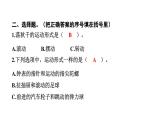 2024教科版科学三年级下册第一单元物体的运动2 各种各样的运动 作业课件ppt