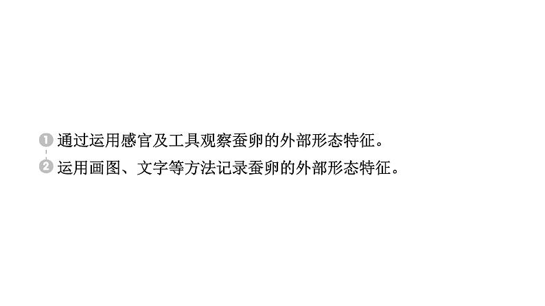 2024教科版科学三年级下册第二单元动物的一生1 迎接蚕宝宝的到来 作业课件ppt第2页