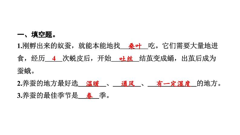 2024教科版科学三年级下册第二单元动物的一生1 迎接蚕宝宝的到来 作业课件ppt第3页