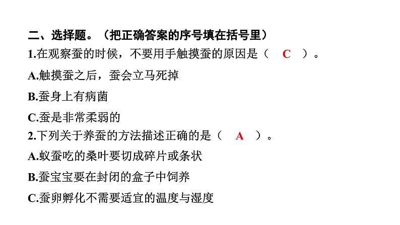 2024教科版科学三年级下册第二单元动物的一生1 迎接蚕宝宝的到来 作业课件ppt第5页