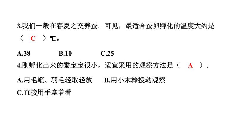 2024教科版科学三年级下册第二单元动物的一生1 迎接蚕宝宝的到来 作业课件ppt第6页