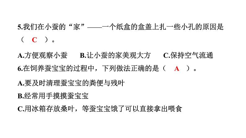 2024教科版科学三年级下册第二单元动物的一生1 迎接蚕宝宝的到来 作业课件ppt第7页