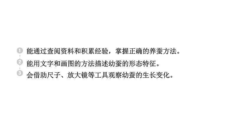 2024教科版科学三年级下册第二单元动物的一生3 蚕长大了 作业课件ppt第2页