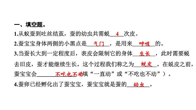 2024教科版科学三年级下册第二单元动物的一生3 蚕长大了 作业课件ppt第3页