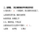 2024教科版科学三年级下册第二单元动物的一生3 蚕长大了 作业课件ppt