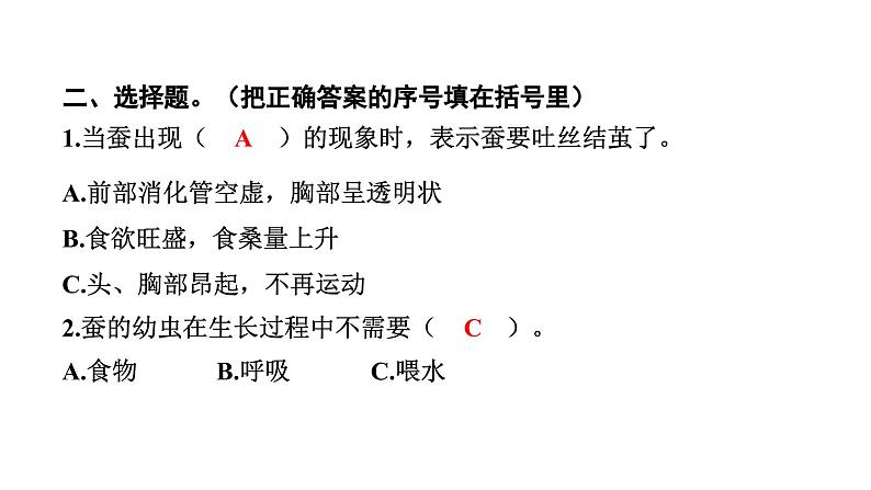 2024教科版科学三年级下册第二单元动物的一生3 蚕长大了 作业课件ppt第4页