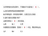2024教科版科学三年级下册第二单元动物的一生3 蚕长大了 作业课件ppt