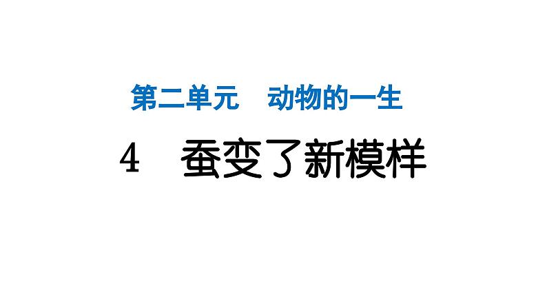 2024教科版科学三年级下册第二单元动物的一生4 蚕变了新模样 作业课件ppt第1页