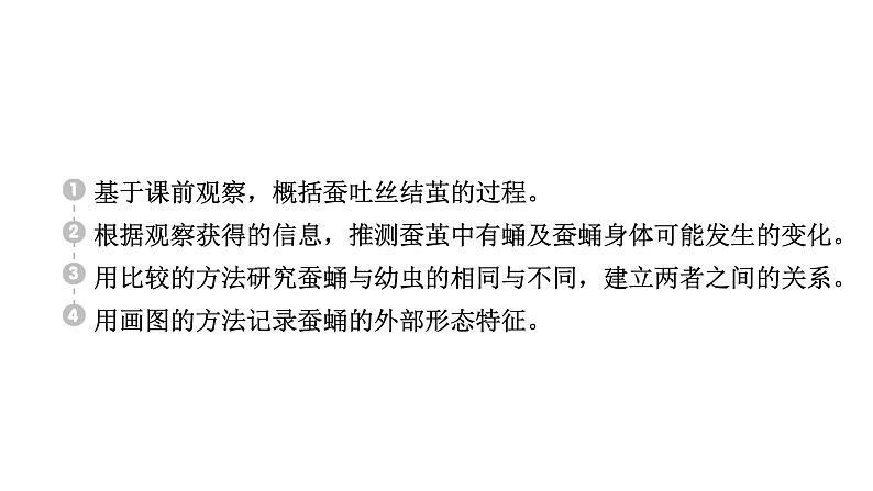 2024教科版科学三年级下册第二单元动物的一生4 蚕变了新模样 作业课件ppt第2页