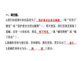 2024教科版科学三年级下册第二单元动物的一生4 蚕变了新模样 作业课件ppt