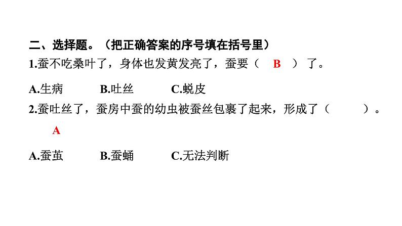 2024教科版科学三年级下册第二单元动物的一生4 蚕变了新模样 作业课件ppt第5页