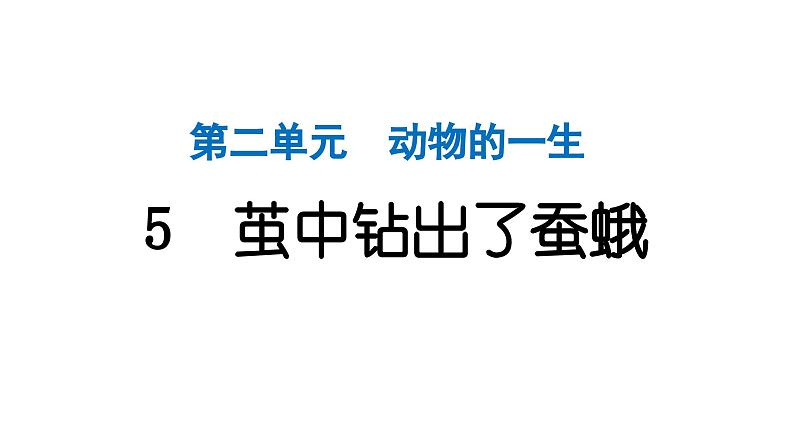 2024教科版科学三年级下册第二单元动物的一生5 茧中钻出了蚕蛾 作业课件ppt第1页