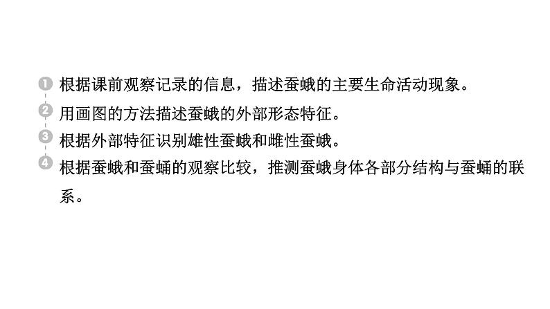 2024教科版科学三年级下册第二单元动物的一生5 茧中钻出了蚕蛾 作业课件ppt第2页