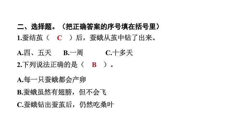 2024教科版科学三年级下册第二单元动物的一生5 茧中钻出了蚕蛾 作业课件ppt第5页