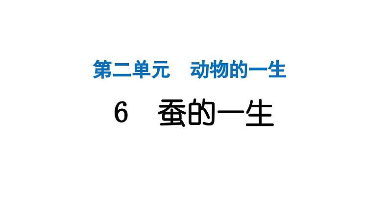 2024教科版科学三年级下册第二单元动物的一生6 蚕的一生 作业课件ppt第1页