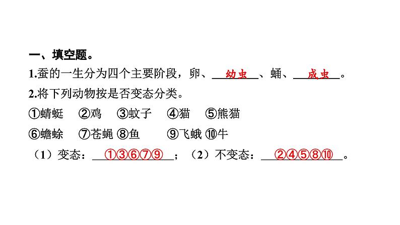 2024教科版科学三年级下册第二单元动物的一生6 蚕的一生 作业课件ppt第3页