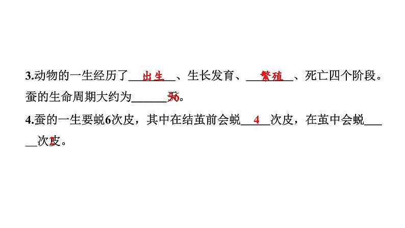 2024教科版科学三年级下册第二单元动物的一生6 蚕的一生 作业课件ppt第4页