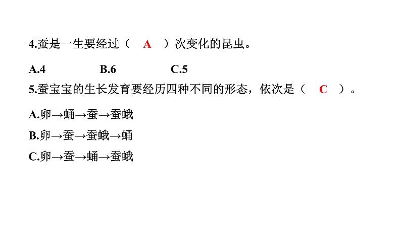 2024教科版科学三年级下册第二单元动物的一生6 蚕的一生 作业课件ppt第6页