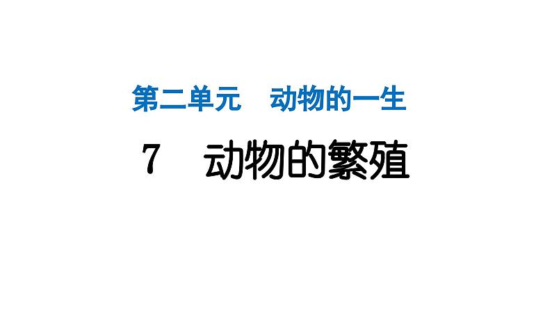 2024教科版科学三年级下册第二单元动物的一生7 动物的繁殖 作业课件ppt第1页