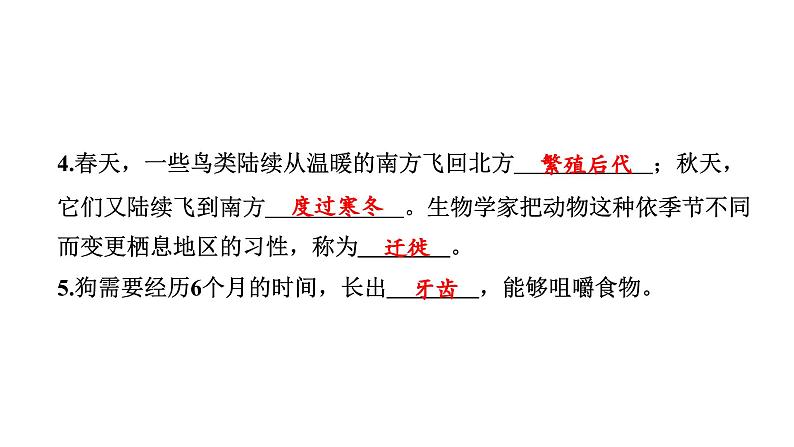 2024教科版科学三年级下册第二单元动物的一生8 动物的一生 作业课件ppt第4页