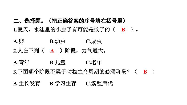 2024教科版科学三年级下册第二单元动物的一生8 动物的一生 作业课件ppt第5页