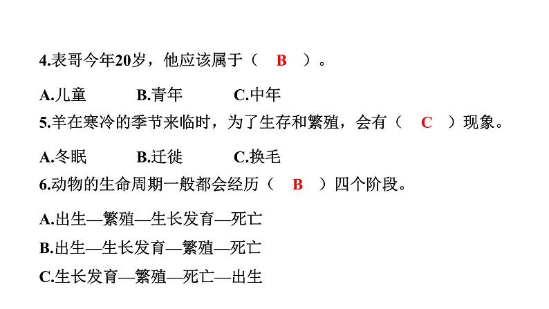 2024教科版科学三年级下册第二单元动物的一生8 动物的一生 作业课件ppt第6页