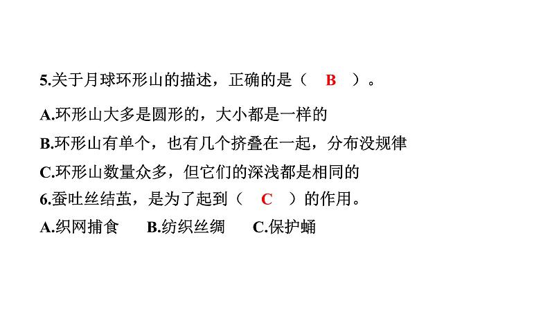 2024教科版科学三年级下册期末测试卷（二） 作业课件ppt第7页