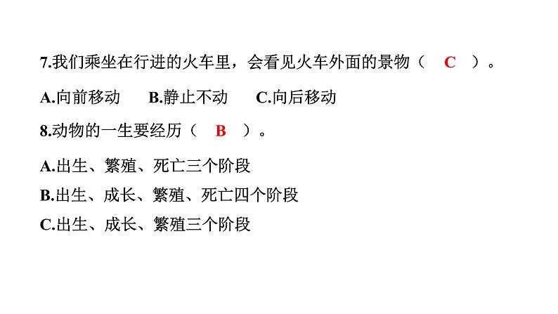 2024教科版科学三年级下册期末测试卷（二） 作业课件ppt第8页