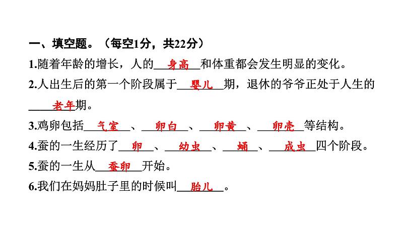 2024教科版科学三年级下册期中测试卷 作业课件ppt第2页