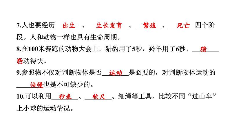 2024教科版科学三年级下册期中测试卷 作业课件ppt第3页