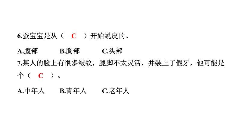 2024教科版科学三年级下册期中测试卷 作业课件ppt第8页