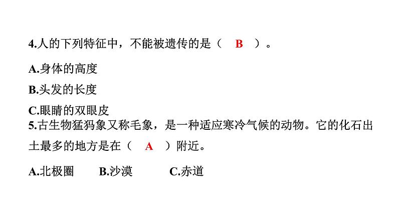 2024教科版科学六年级下册第二单元学习达标测试 作业课件ppt第6页