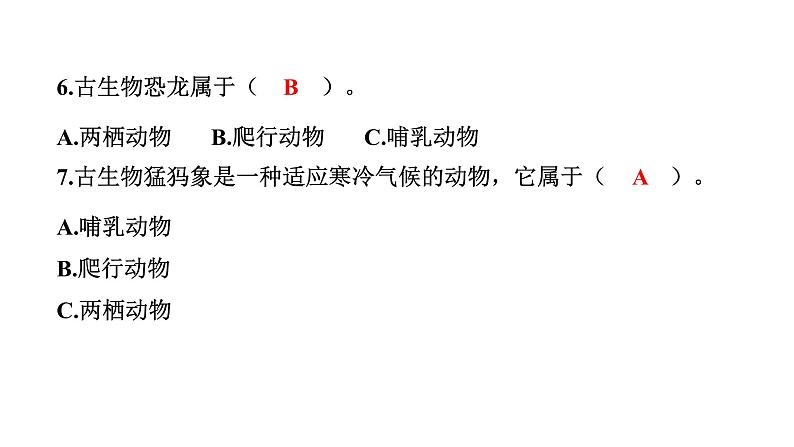 2024教科版科学六年级下册第二单元学习达标测试 作业课件ppt第7页