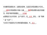 2024教科版科学六年级下册第四单元学习达标测试 作业课件ppt