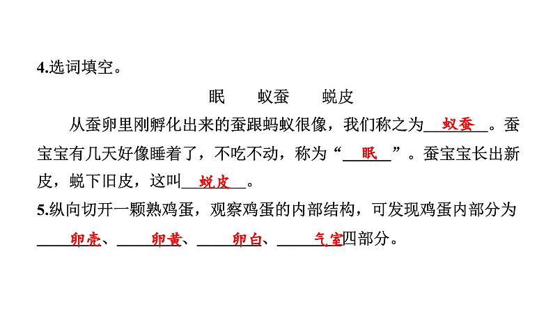 2024教科版科学三年级下册第二单元学习达标测试 作业课件ppt第3页