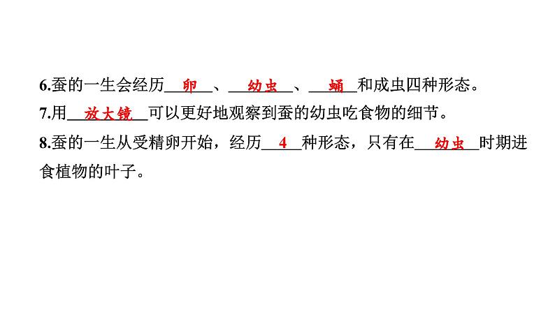 2024教科版科学三年级下册第二单元学习达标测试 作业课件ppt第4页