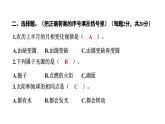 2024教科版科学三年级下册第三单元学习达标测试 作业课件ppt