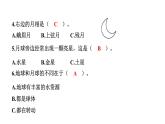 2024教科版科学三年级下册第三单元学习达标测试 作业课件ppt