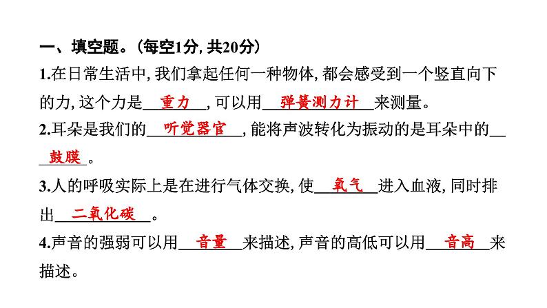 2024教科版科学四年级上册期末测试卷（二）  作业课件ppt第2页