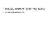 2024教科版科学四年级上册第一单元声音2 声音是怎样产生的  作业课件ppt