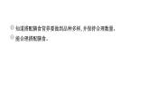 2024教科版科学四年级上册第二单元呼吸与消化6 营养要均衡  作业课件ppt