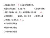 2024教科版科学四年级上册第二单元呼吸与消化6 营养要均衡  作业课件ppt