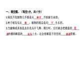2024教科版科学四年级下册期末测试卷（二） 作业课件ppt