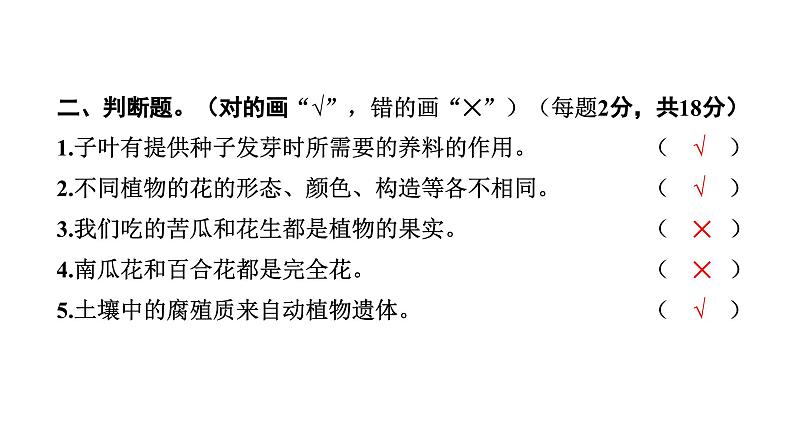 2024教科版科学四年级下册期末测试卷（二） 作业课件ppt第5页