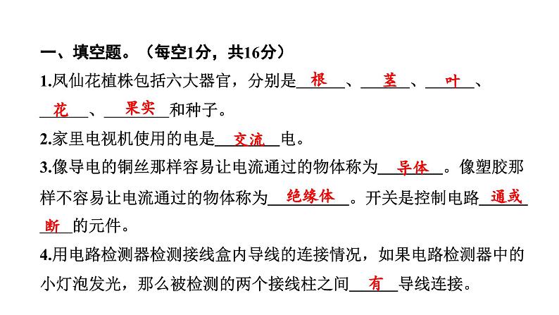 2024教科版科学四年级下册期末测试卷（一） 作业课件ppt第2页